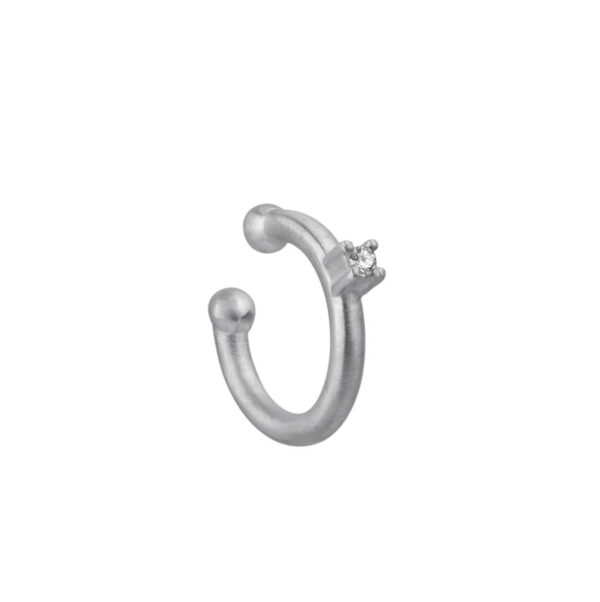 Piercing Max